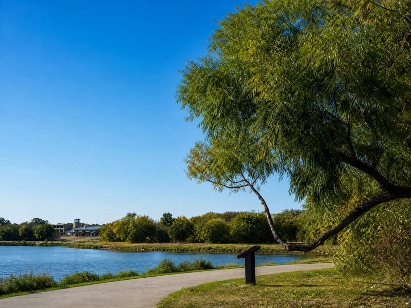 A wooded walking trail beside open water in North Texas, lined with mature trees.