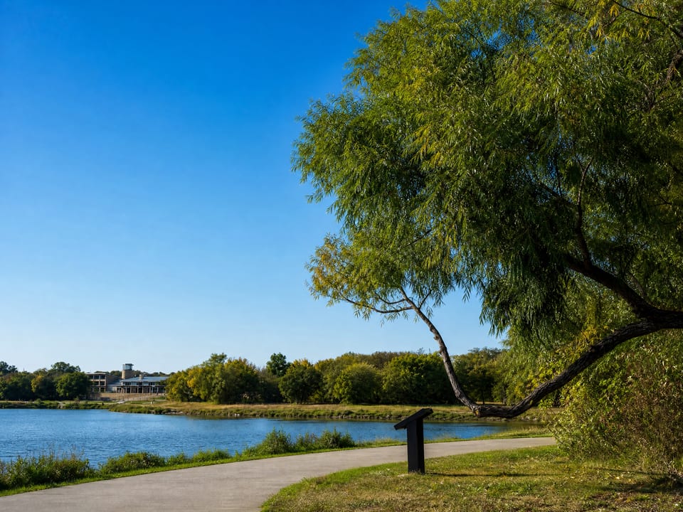 A paved lakeside trail curving beneath a willow tree on the shoreline at Oak Point, Texas, with the water and a lodge across the bay.